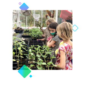 children in a greenhouse setting with plants